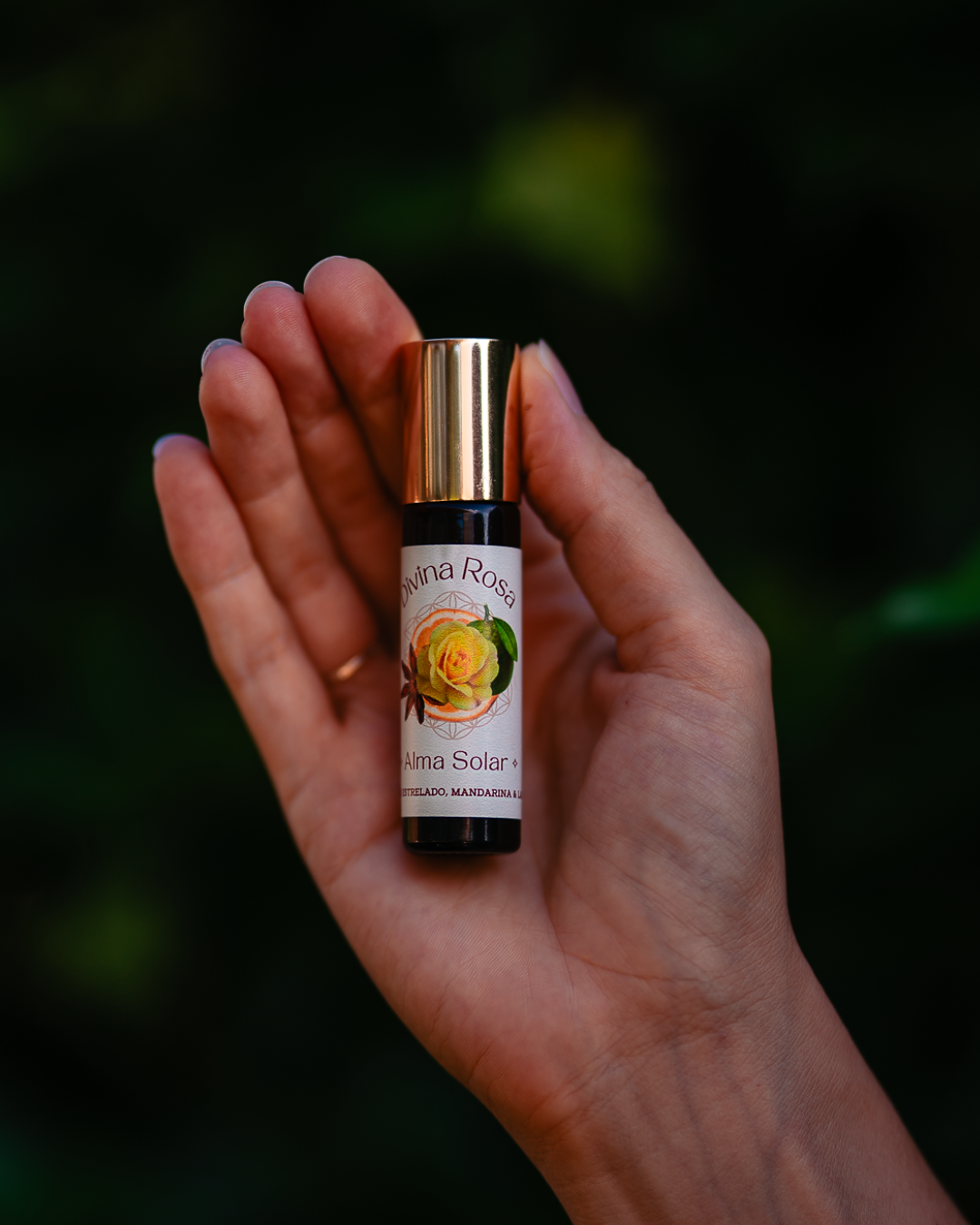 Alma Solar — Rosa amarela, anis estrelado, mandarina & laranja